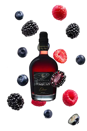 Ratafia Champenois Élixir Pierre-Emmanuel Paquay, une cuvée gourmande de la Maison Paquay