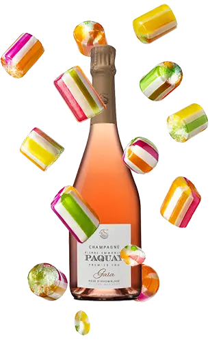 Champagne Gaia Rosé Brut Nature Pierre-Emmanuel Paquay, cuvée authentique issue du terroir champenois