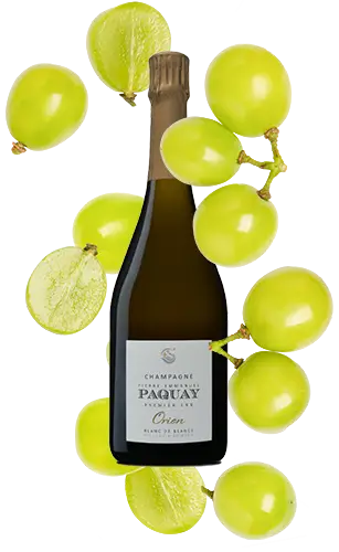 Champagne Orion Blanc de Blancs Brut Pierre-Emmanuel Paquay, expression du Chardonnay de Villers-Marmery