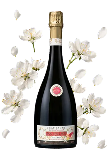 Champagne Vieux-Chêne Extra Brut Pierre-Emmanuel Paquay, une cuvée élégante et authentique